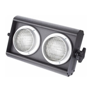 DTS,  2-lite blinders 2x650W