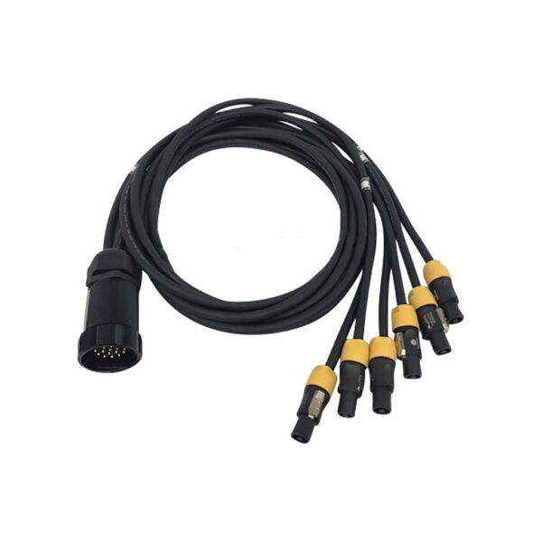 Socapex - 19 pin socahane / 6 x Powercon True 1