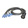 Socapex - 19 pin socahane / 6 x Powercon
