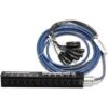 Whirlwind multikabel 10m - 12 kanaler
